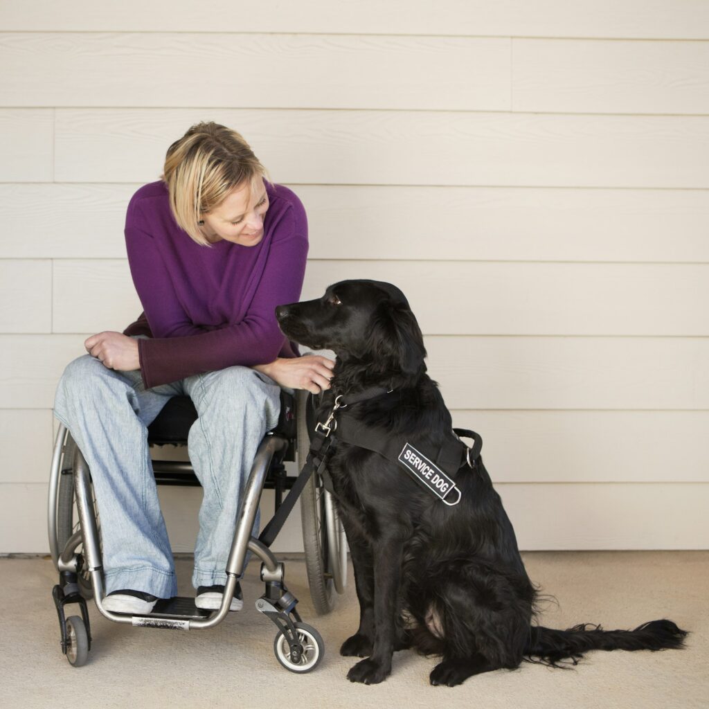 ** Expression of interest only** Paws For Purpose Workshop